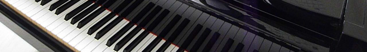 体験レッスンのご案内